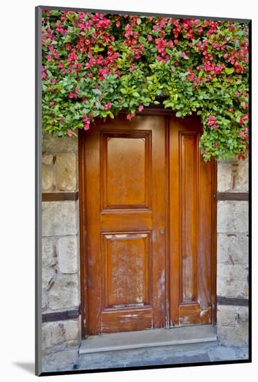 Doorway in Antalya, Turkey-Darrell Gulin-Mounted Photographic Print