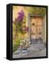 Doorway in Mexico I-Kathy Mahan-Framed Stretched Canvas