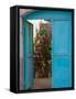 Doorway in Small Village, Cappadoccia, Turkey-Darrell Gulin-Framed Stretched Canvas