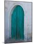 Doorway in Small Village, Cappadoccia, Turkey-Darrell Gulin-Mounted Photographic Print