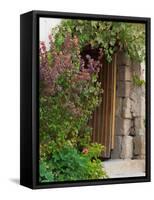 Doorway in Small Village in Cappadoccia, Turkey-Darrell Gulin-Framed Stretched Canvas