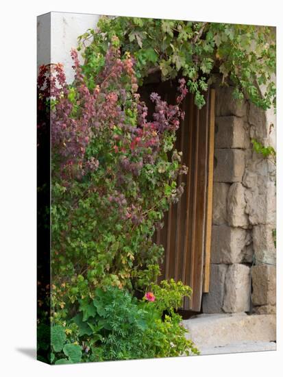 Doorway in Small Village in Cappadoccia, Turkey-Darrell Gulin-Stretched Canvas