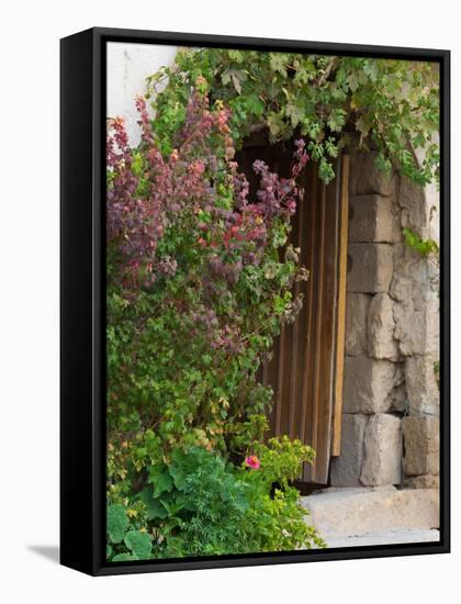 Doorway in Small Village in Cappadoccia, Turkey-Darrell Gulin-Framed Stretched Canvas