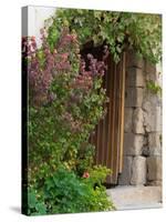 Doorway in Small Village in Cappadoccia, Turkey-Darrell Gulin-Stretched Canvas