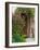 Doorway in Small Village in Cappadoccia, Turkey-Darrell Gulin-Framed Photographic Print