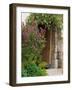 Doorway in Small Village in Cappadoccia, Turkey-Darrell Gulin-Framed Photographic Print