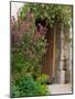 Doorway in Small Village in Cappadoccia, Turkey-Darrell Gulin-Mounted Photographic Print