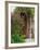 Doorway in Small Village in Cappadoccia, Turkey-Darrell Gulin-Framed Photographic Print