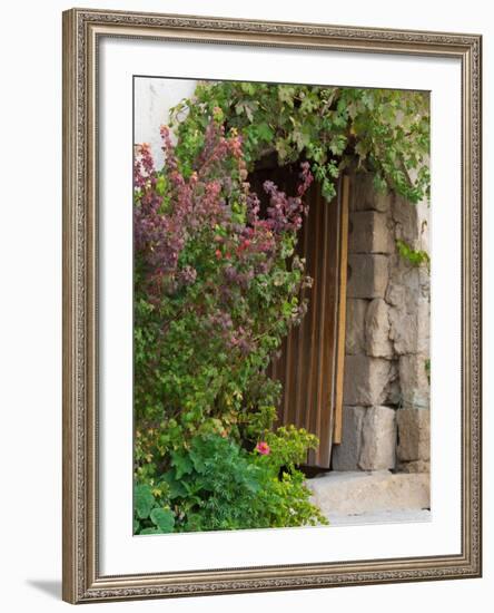 Doorway in Small Village in Cappadoccia, Turkey-Darrell Gulin-Framed Photographic Print