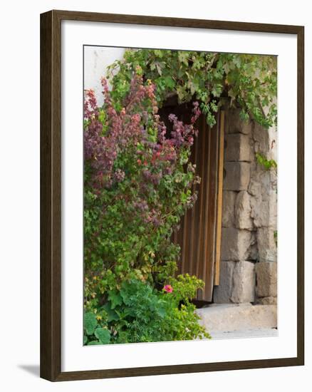 Doorway in Small Village in Cappadoccia, Turkey-Darrell Gulin-Framed Photographic Print