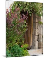 Doorway in Small Village in Cappadoccia, Turkey-Darrell Gulin-Mounted Photographic Print