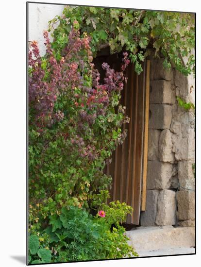 Doorway in Small Village in Cappadoccia, Turkey-Darrell Gulin-Mounted Photographic Print