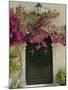 Doorway of Paleokastritsa Monastery, Corfu, Ionian Islands, Greek Islands, Greece, Europe-Hans Peter Merten-Mounted Photographic Print
