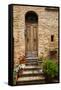 Doorway with Flowers, Pienza, Tuscany, Italy-Terry Eggers-Framed Stretched Canvas