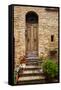 Doorway with Flowers, Pienza, Tuscany, Italy-Terry Eggers-Framed Stretched Canvas