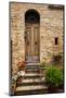 Doorway with Flowers, Pienza, Tuscany, Italy-Terry Eggers-Mounted Photographic Print