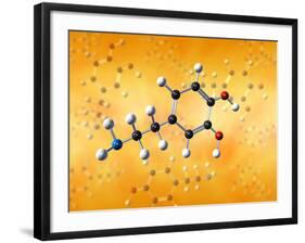 Dopamine Neurotransmitter Molecule-David Mack-Framed Photographic Print