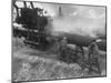 "Dope and Wrap" Being Applied to a Pipe after it Was Welded and Cleaned-null-Mounted Photographic Print