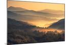 Wood Mount