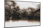Wood Mount