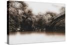 Stretched Canvas
