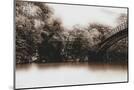 Wood Mount
