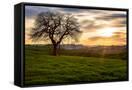 Canvas Black