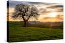 Stretched Canvas