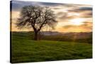 Stretched Canvas