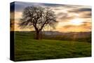 Stretched Canvas