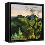 Canvas Black