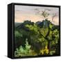 Canvas Black
