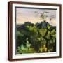 Brown Frame