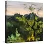 Stretched Canvas