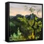 Canvas Black