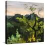 Stretched Canvas