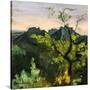 Stretched Canvas