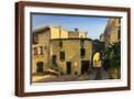 Brown Frame