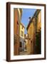 Brown Frame
