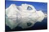 Dorian Bay Iceberg-Paul Souders-Stretched Canvas