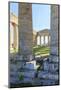 Dorian Temple of Segesta. 5th Century BC. Sicily, Italy-Tom Norring-Mounted Photographic Print