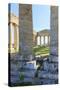 Dorian Temple of Segesta. 5th Century BC. Sicily, Italy-Tom Norring-Stretched Canvas