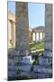 Dorian Temple of Segesta. 5th Century BC. Sicily, Italy-Tom Norring-Mounted Photographic Print