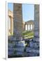 Dorian Temple of Segesta. 5th Century BC. Sicily, Italy-Tom Norring-Framed Photographic Print