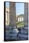 Dorian Temple of Segesta. 5th Century BC. Sicily, Italy-Tom Norring-Framed Stretched Canvas