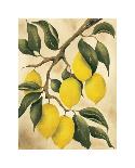 Italian Harvest, Lemons-Doris Allison-Laminated Giclee Print