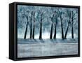Framed Canvas