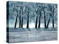 Stretched Canvas