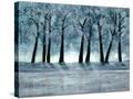 Stretched Canvas
