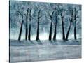 Stretched Canvas